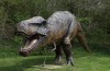 Hvad siger Islam om dinosaurusser?